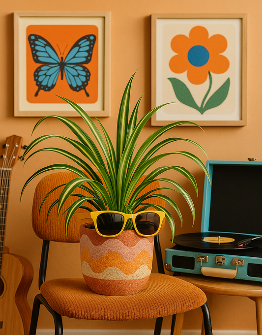 Spider Plant